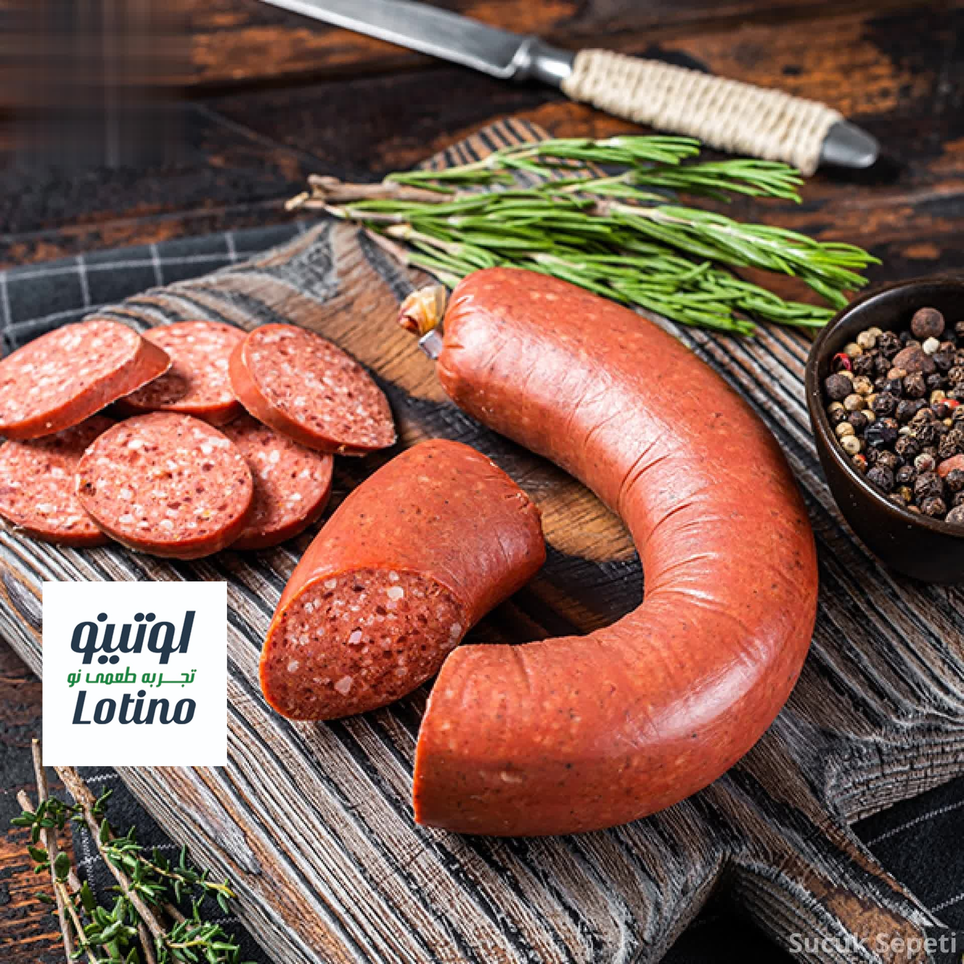 درباره لوتینو